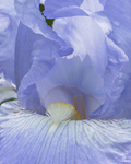 20140526-3K8A1766-2984