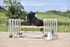 BPP_1793