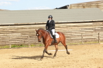 SBM_000274