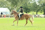 SBM_62429