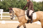SBM_006447