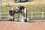 BPP_2361