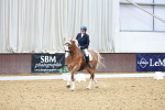 SBM_020753