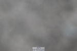 240611A-184016-01005
