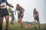 Wansfell-277