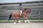 SBM_005936