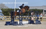 BPP_7565