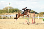 SBM_001978