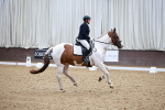 SBM_000453