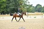 178-Abbie.Burbidge-Filanda portfolio