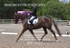 BPP_6327