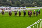 230823-Race 6-Designer-0779