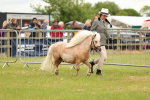SBM_04444