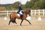 SBM_009705