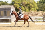 SBM_001357