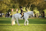 SBM_54370