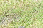 260630A-112137-05772