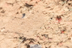 230915A-121852-00362