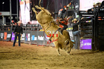 3HRodeo_PBR_TEAMS_JUL_2026_1468