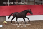 JAC_4782