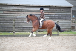 SBM_005951