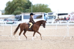 SBM_17498