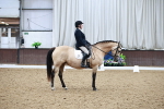 SBM_003913