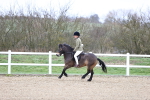 SBM_007455