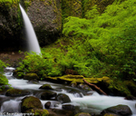 Ponytail Falls