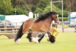 SBM_06018