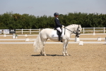 SBM_004253