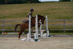 _DSC7014