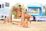SBM_03651