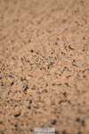 231015A-091942-06670