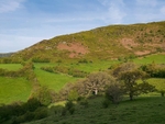 RWT Gilfach, Powys