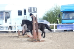 SBM_09123