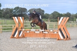 CLASS 2 Club/ Unaffiliated 80cms Open portfolio