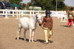 SBM_03034