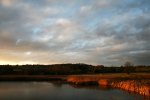 Chew valley lake _S067