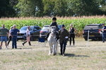 WJ6_7921