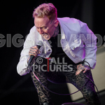 Frank Carter  The Rattlesnakes-2