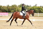 SBM_002662