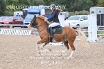 BPP_4391