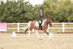 SBM_001349