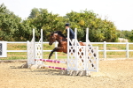 SBM_000703
