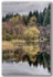 Loch Chon reflections