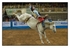 Bareback Bronc 1