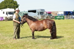 SBM_01858