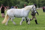 SIAL3391