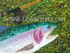 Tongariro Trout - Taupo.
